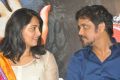 Anushka, Nagarjuna at Damarukam Movie Success Meet Stills