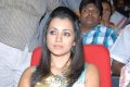 Trisha Photos at Dammu Audio Release