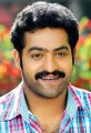 Dammu Jr NTR Movie Stills