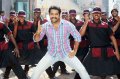 NTR Dammu Movie Latest Photos