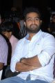 Jr NTR at Dammu Success Meet Function