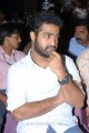 Jr NTR at Dammu Success Meet Function