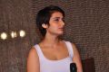 Actress Fatima Sana Shaikh @ Dangal Movie Press Meet Hyderabad Stills