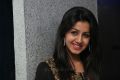 Darling Heroine Nikki Galrani Cute Photos