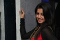 Actress Nikki Galrani @ Darling Movie Press Show Photos