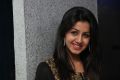 Actress Nikki Galrani @ Darling Movie Press Show Photos