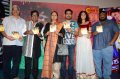 Daruvu Audio Release Photos