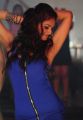 Daruvu Item Song Actress Hot in Blue Dress