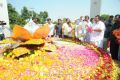 Mohan Babu at Dasari Padma 1st Death Anniversary Celebration Stills