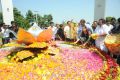 Dasari Padma 1st Death Anniversary Celebration Stills