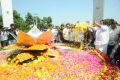 Dasari Padma 1st Death Anniversary Celebration Stills