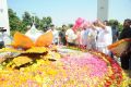 Dasari Padma 1st Death Anniversary Celebration Stills