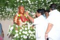 Dasari Padma Statue Inauguration Stills