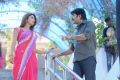 Srikanth, Sonia Mann At Dee Ante Dee Movie Stills