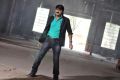 Dee Ante Dee Movie Stills