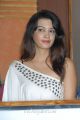 Actress Deeksha Panth Hot Stills at Mr Rajesh Audio Release