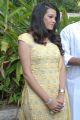 Actress Diksha Panth New Images at Thondi Movie Launch