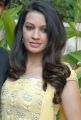 Actress Diksha Panth New Images at Thondi Movie Launch