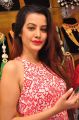 Model Diksha Panth Images @ Trendz Exhibition Launch