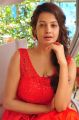 Telugu Actress Diksha Panth Hot Photos