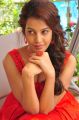 Telugu Actress Deeksha Panth in Red Skirt Photos