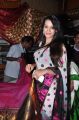 Deeksha Panth launches Pochampally Cotton Mela 2013 Photos