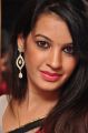 Diksha Panth launches Pochampally Cotton Mela 2013 Photos