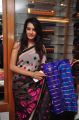 Pochampally Cotton Mela 2013 Launch by Deeksha Panth Photos