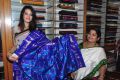 Pochampally Cotton Mela 2013 Launch by Deeksha Panth Photos