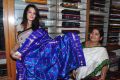 Deeksha Panth launches Pochampally Cotton Mela 2013 Photos