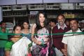 Deeksha Panth launches Pochampally Cotton Mela 2013 Photos