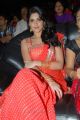Deeksha Seth Hot Photos in Saree
