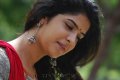 Deeksha Seth Cute Wallpapers