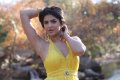 Deeksha Seth Hot in Nippu Movie