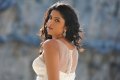Deeksha Seth Hot Stills in Nippu Movie
