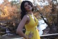 Deeksha Seth Hot Stills in Nippu Movie