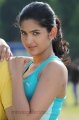 Deeksha Seth Hot in Nippu Movie Stills