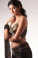 Deeksha Seth Hot Photo Shoot Pics