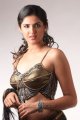 Deeksha Seth Hot Photoshoot Stills