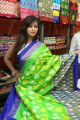 Deekshita Parvathi launches Ikat Art Mela Photos