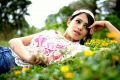 Actress Deepa Sannidhi Photoshoot Stills