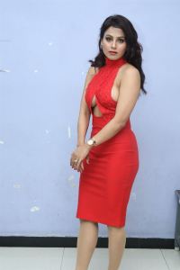 Dirty Fellow Actress Deepika Singh Hot Stills