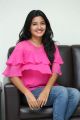 Sriramudinta Srikrishnudanta Movie Actress Deepthi Shetty Interview Stills