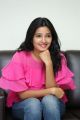 Sriramudinta Srikrishnudanta Heroine Deepthi Shetty Interview Stills