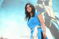 Actress Bindu Madhavi in Desingu Raja Movie Photos