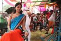 Desingu Raja Movie Actress Bindu Madhavi Stills