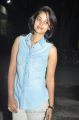 Actress Bindu Madhavi @ Desingu Raja Movie Success Meet Stills