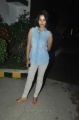 Actress Bindu Madhavi @ Desingu Raja Movie Success Meet Stills