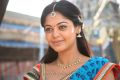 Actress Bindu Madhavi in Desingu Raja Tamil Movie Stills