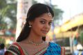 Desingu Raja Tamil Movie Heroine Bindu Madhavi Stills